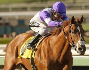 preakness-stakes-betting Preakness Stakes Betting