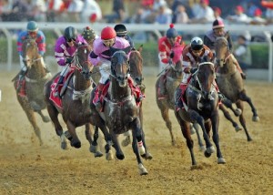 belmont-stakes-internet-wagering Belmont Stakes Internet Wagering