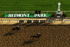 Betting The Belmont Stakes Online