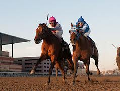 Vyjack Kentucky Derby Betting Odds