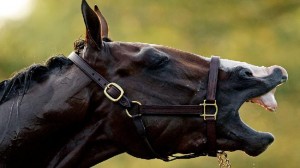 Kentucky-Derby-Picks Kentucky Derby Picks