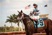 Bet On Verrazano Kentucky Derby