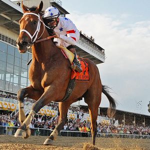 Kentucky Derby Online Racebooks