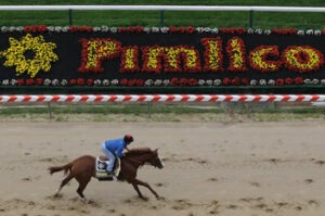 Bet On Preakness Stakes Online
