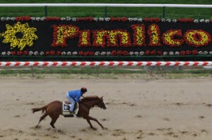 Bet On Preakness Stakes Online Bet On Preakness Stakes Online