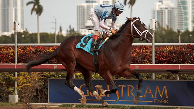 kentuckys-derby-online-betting Kentuckys Derby Online Betting