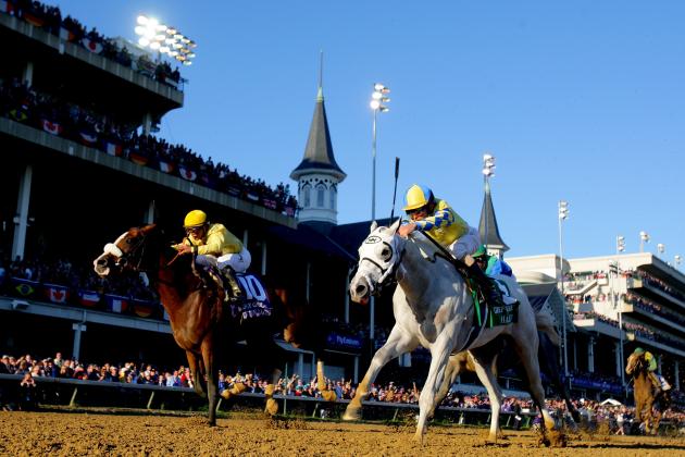 Kentucky-Bluegrass Kentucky Bluegrass