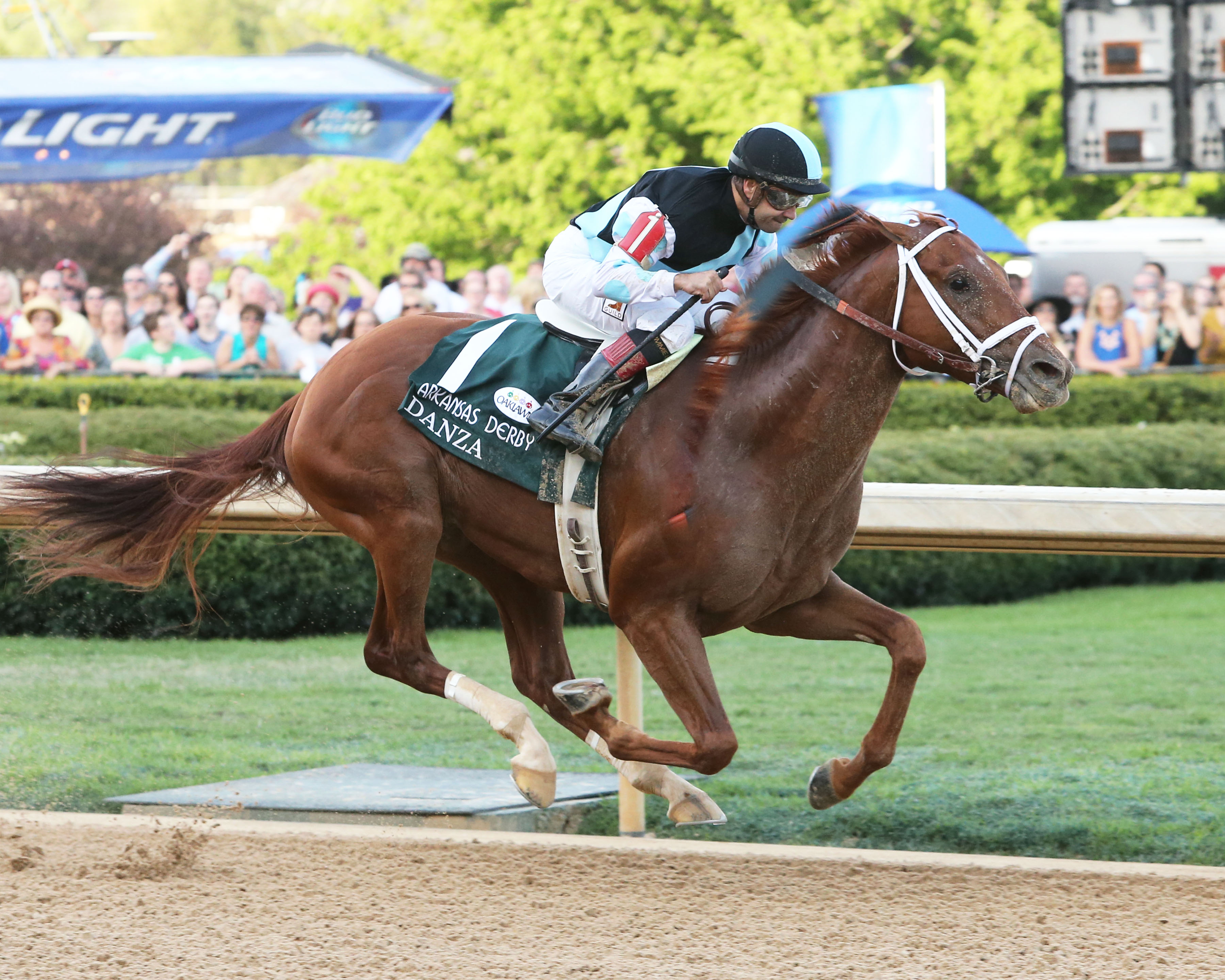 Danza Kentucky Derby Betting Odds