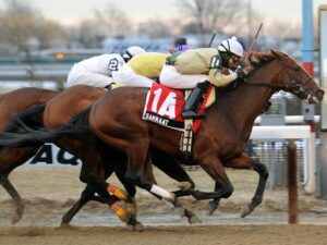 Samraat Horse Kentucky Derby