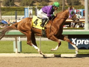 Bet On California Chrome