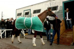 2015 Kentucky Derby Favorites