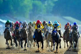 Horse Racing 2016