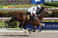 One Liner Horse KentuckyDerby