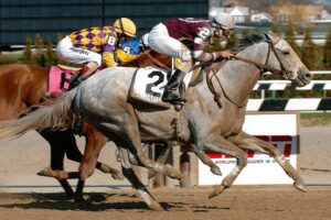 Tapwrit Kentucky Derby 2017