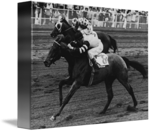 Horse Racing History