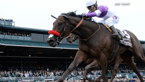 Kentucky Derby Betting 2017