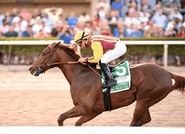 Irish War Cry 2017 Betting Odds