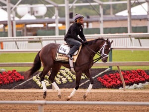 Preakness Stakes Always Dreaming