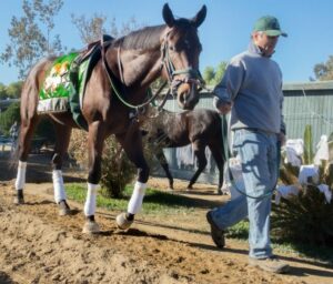 Early Kentucky Derby Favorites