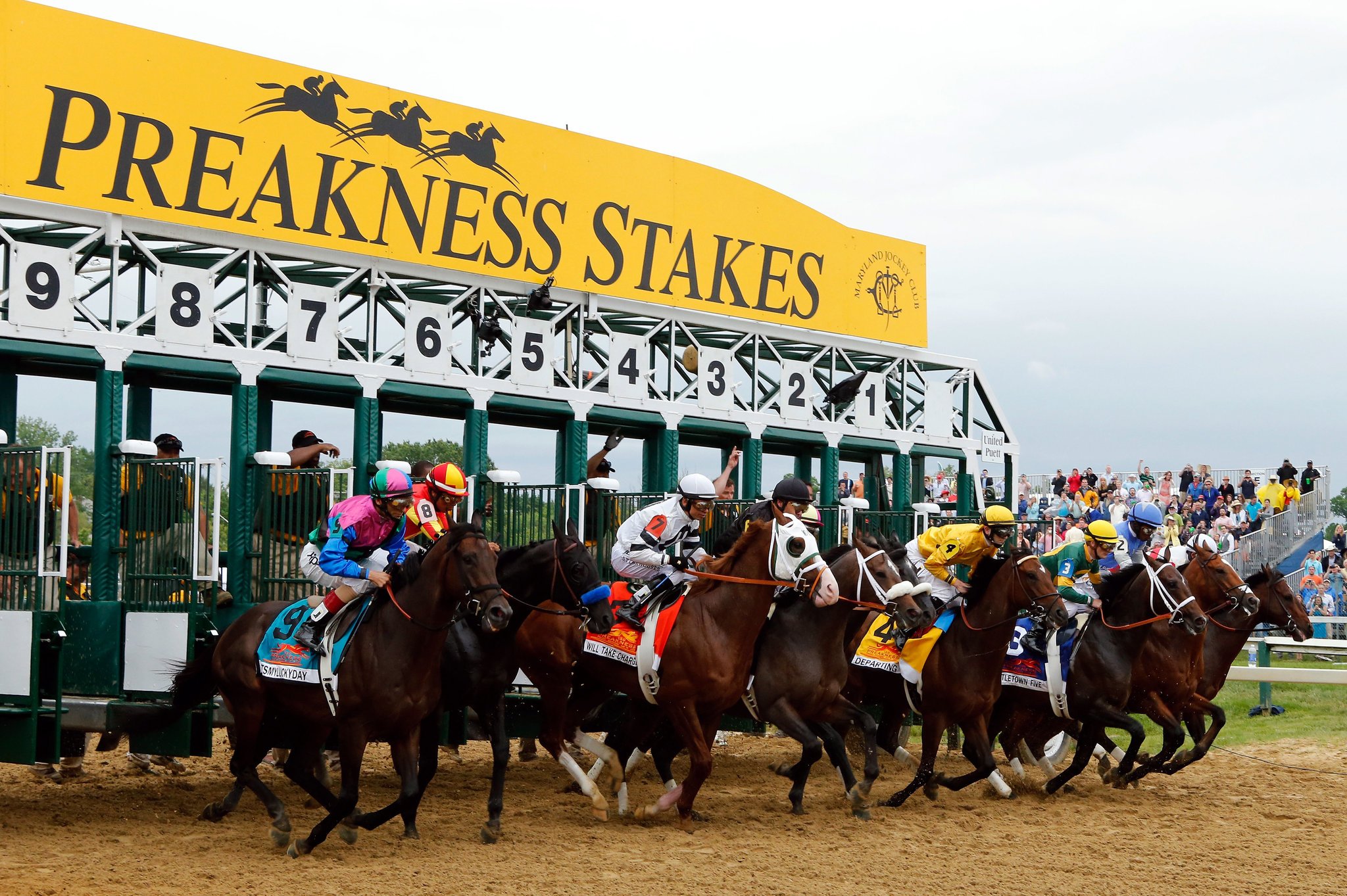 2018 Preakness Stakes Online Betting Quip