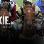 Best Horse Racing Sportsbooks Online Racebooks