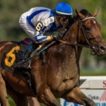 Kentucky Derby Betting Favorites Picks