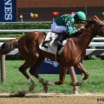 Code of Honor Florida Derby Betting