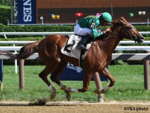 Code of Honor Florida Derby Betting