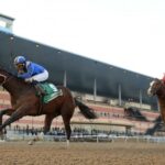 Haikal Kentucky Derby Contenders 2019