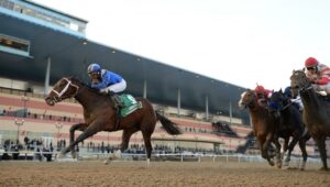 Haikal Kentucky Derby Contenders 2019