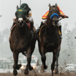 Kentucky Derby Media Poll Predictions 2019