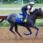 Roadster Kentucky Derby Underdogs