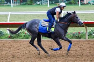 Roadster Kentucky Derby Underdogs