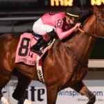 War of Will Horse Betting Sites