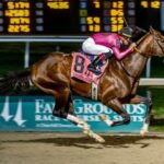 War of Will Louisiana Derby