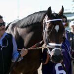 Bourbon War Kentucky Derby Field Odds