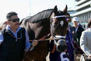 Bourbon War Kentucky Derby Field Odds