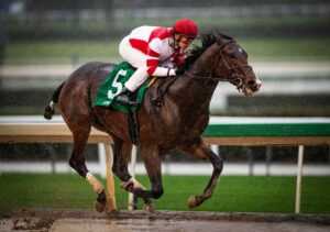 Omaha Beach Betting Favorites to Win