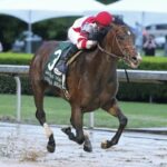 Omaha Beach Quarter Crack