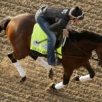 Omaha Beach Betting Favorite Kentucky Derby 2019