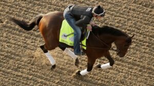 Omaha Beach Betting Favorite Kentucky Derby 2019