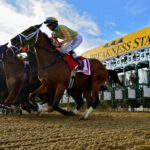 Preakness Stakes Online Betting