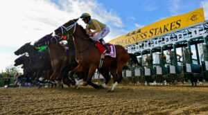 Preakness Stakes Online Betting