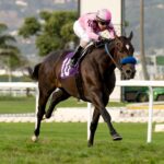 Anneau D'or Kentucky Derby Odds