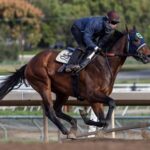 Kentucky Derby Points Standings Modernist
