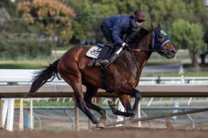 Kentucky Derby Points Standings Modernist