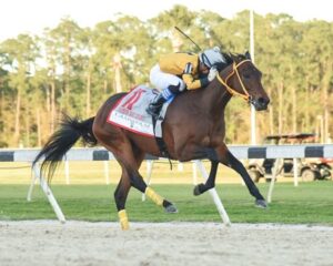 King Guillermo Kentucky Derby 2020 Odds