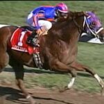 Storm The Court Kentucky Derby Trail