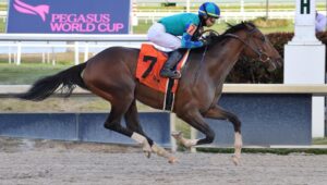 Greatest Honour Kentucky Derby Favorite