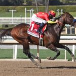 Life is Good Kentucky Derby Favorite